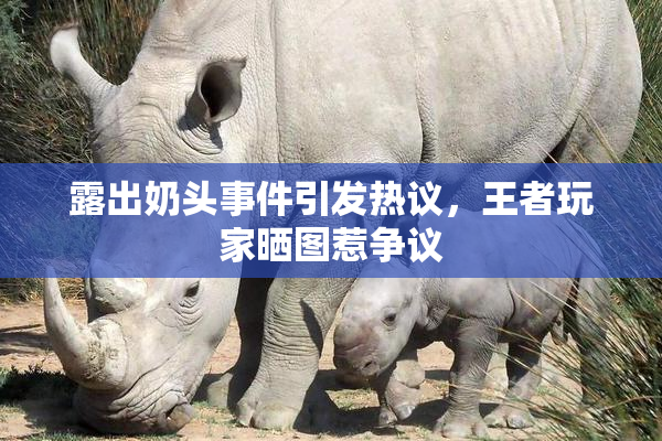 露出奶头事件引发热议，王者玩家晒图惹争议