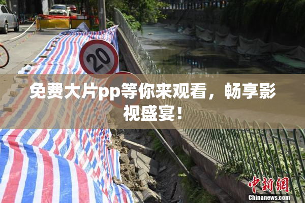 免费大片pp等你来观看，畅享影视盛宴！