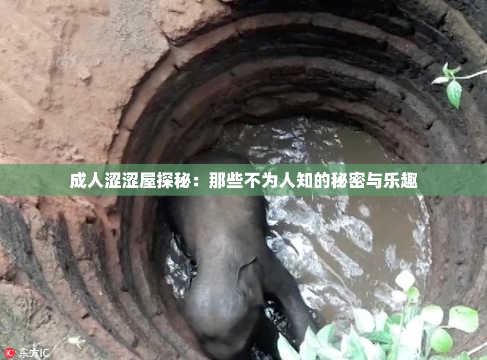成人涩涩屋探秘：那些不为人知的秘密与乐趣