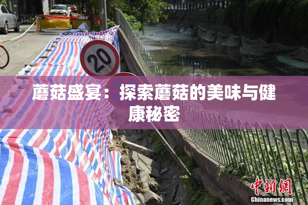 蘑菇盛宴：探索蘑菇的美味与健康秘密