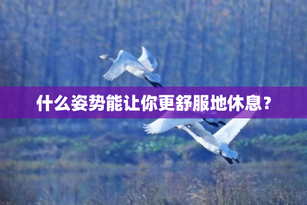 什么姿势能让你更舒服地休息？