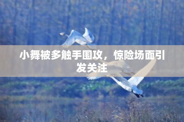 小舞被多触手围攻，惊险场面引发关注