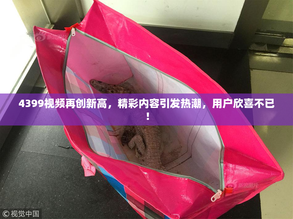 4399视频再创新高，精彩内容引发热潮，用户欣喜不已！