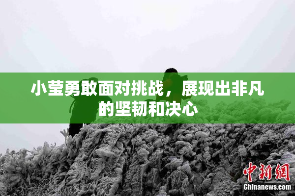 小莹勇敢面对挑战，展现出非凡的坚韧和决心