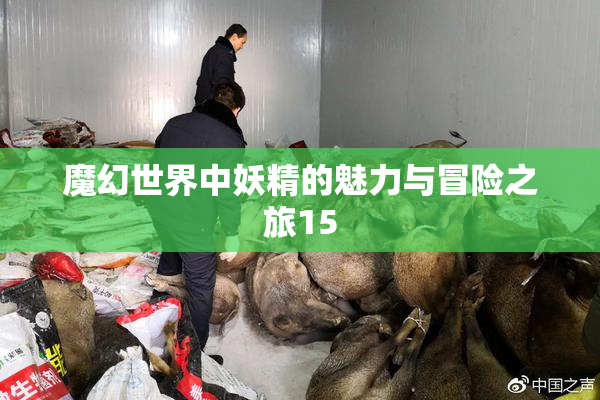 魔幻世界中妖精的魅力与冒险之旅15