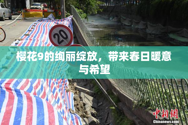 樱花9的绚丽绽放，带来春日暖意与希望