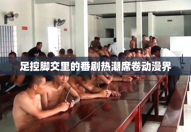 足控脚交里的番剧热潮席卷动漫界
