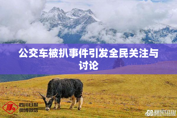 公交车被扒事件引发全民关注与讨论
