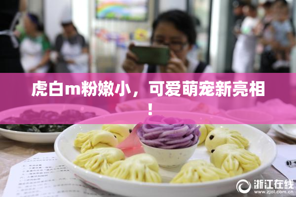 虎白m粉嫩小，可爱萌宠新亮相！