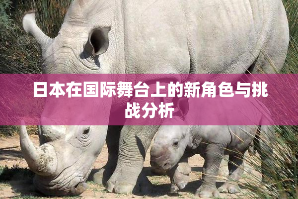 日本在国际舞台上的新角色与挑战分析