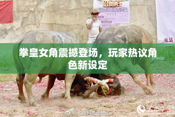 拳皇女角震撼登场，玩家热议角色新设定
