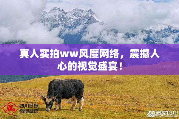 真人实拍ww风靡网络，震撼人心的视觉盛宴！