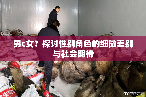 男c女？探讨性别角色的细微差别与社会期待
