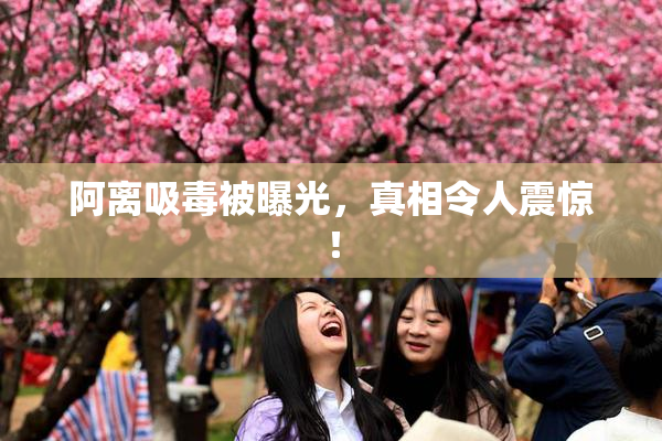 阿离吸毒被曝光，真相令人震惊！