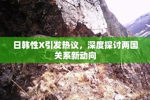 日韩性X引发热议，深度探讨两国关系新动向