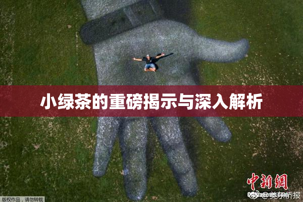 小绿茶的重磅揭示与深入解析