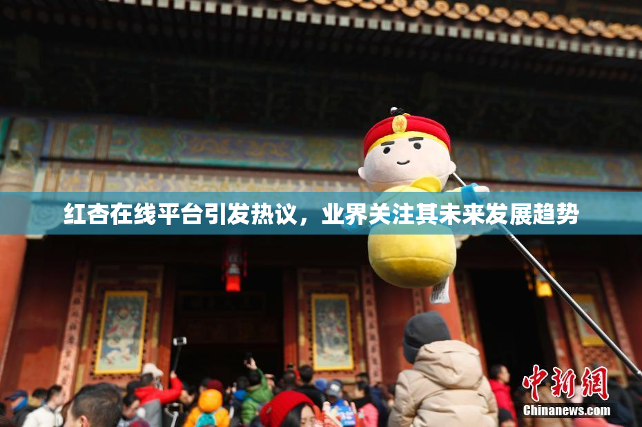 红杏在线平台引发热议，业界关注其未来发展趋势