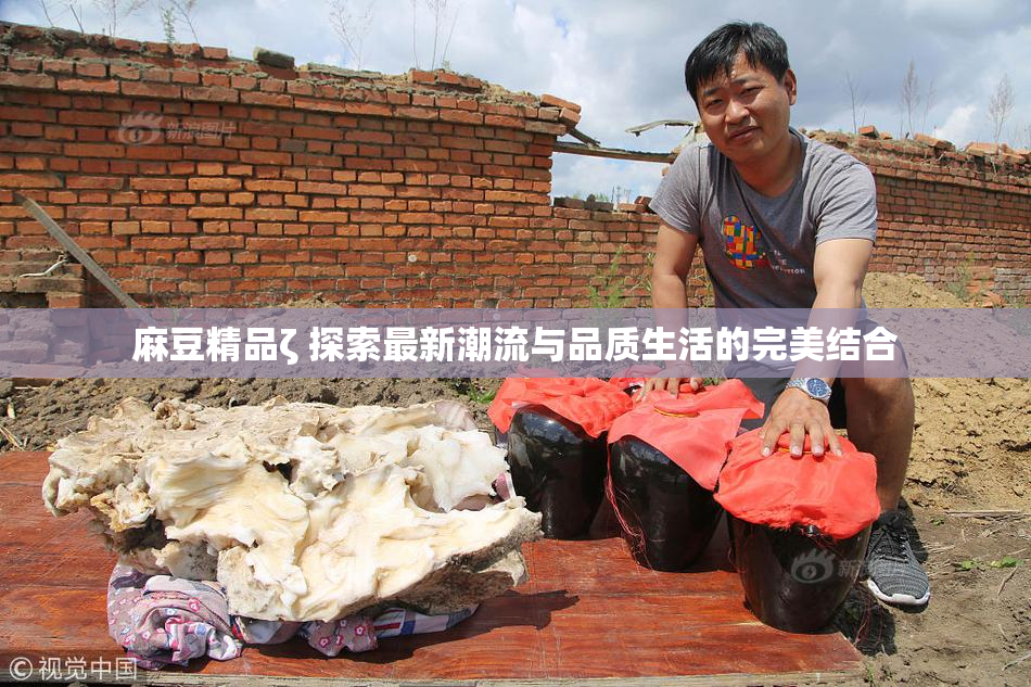 麻豆精品ζ 探索最新潮流与品质生活的完美结合