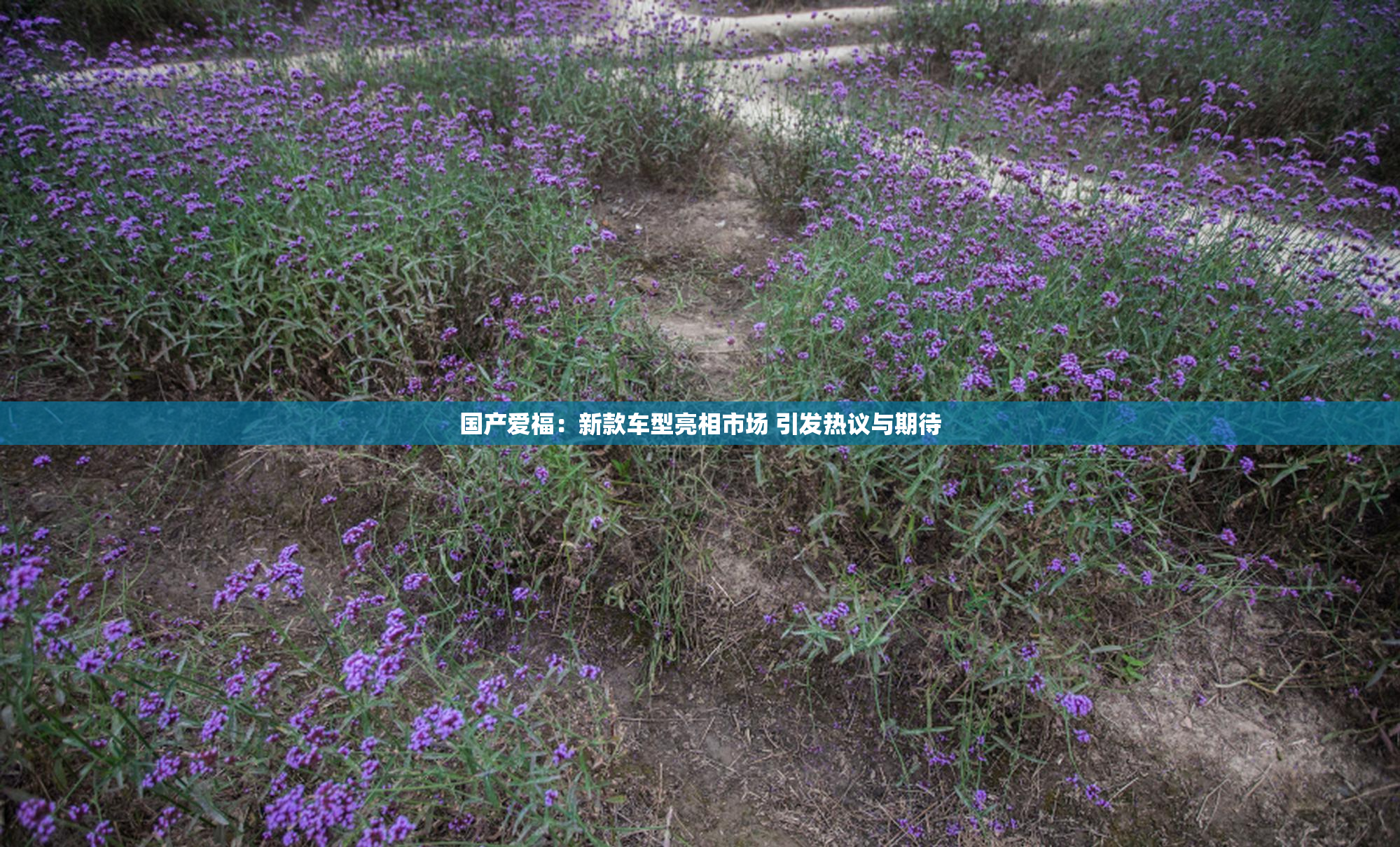国产爱福：新款车型亮相市场 引发热议与期待
