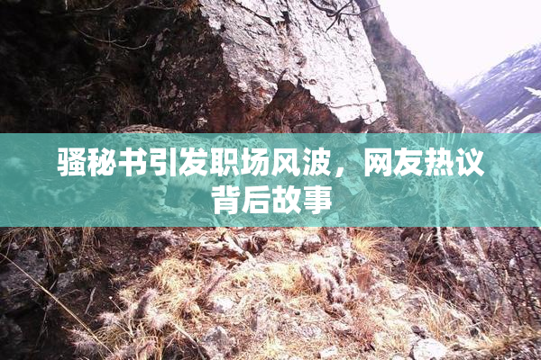 骚秘书引发职场风波，网友热议背后故事
