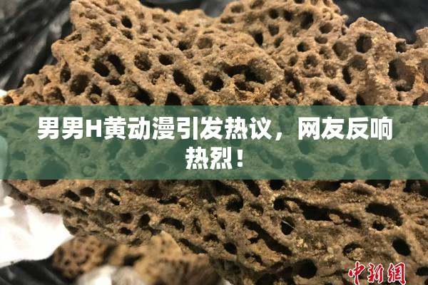 男男H黄动漫引发热议，网友反响热烈！