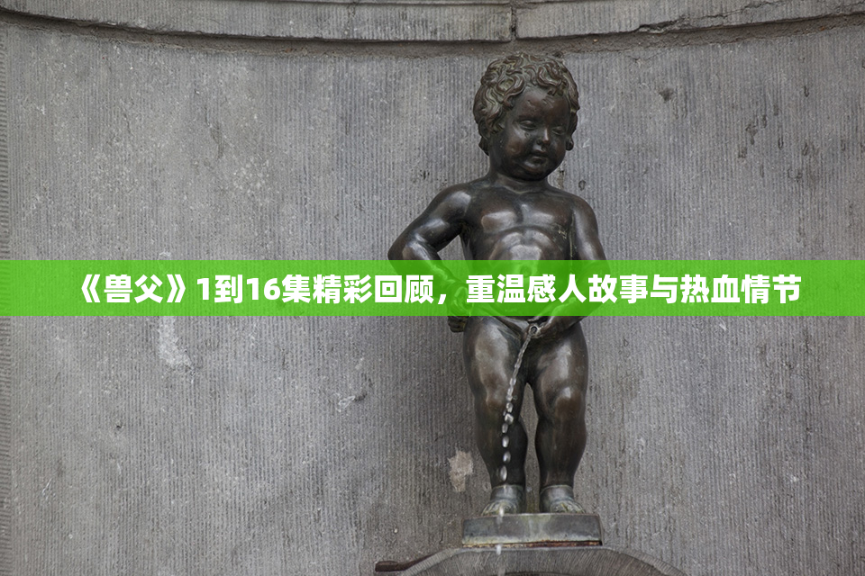 《兽父》1到16集精彩回顾，重温感人故事与热血情节
