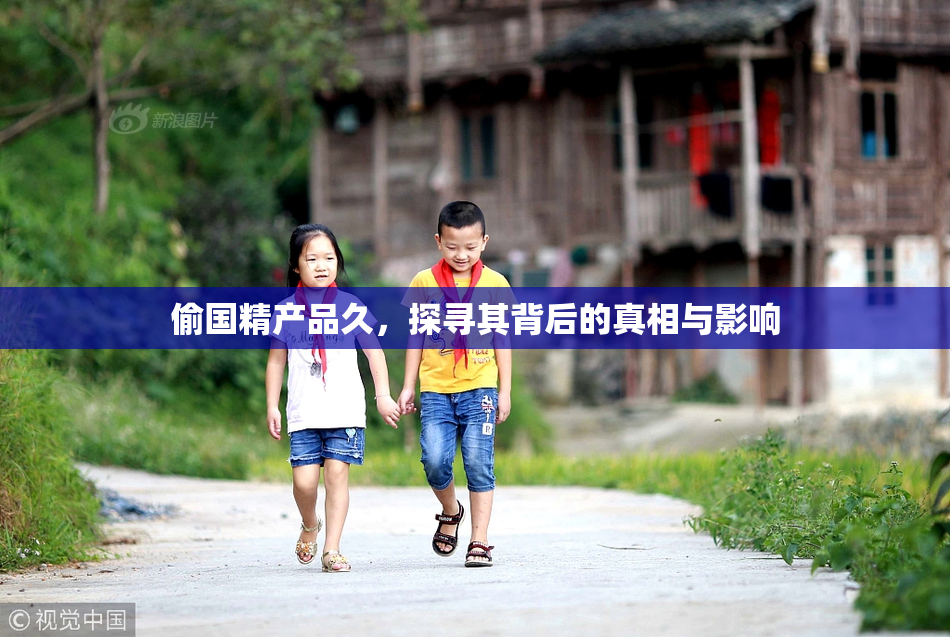 偷国精产品久，探寻其背后的真相与影响