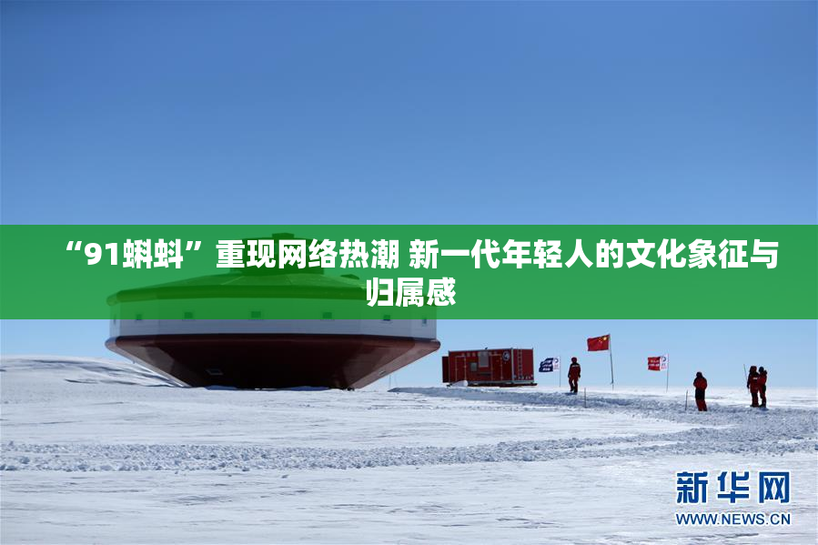 “91蝌蚪”重现网络热潮 新一代年轻人的文化象征与归属感