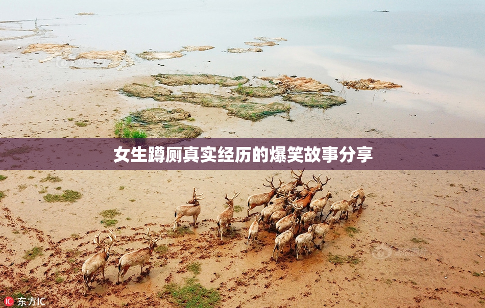 女生蹲厕真实经历的爆笑故事分享