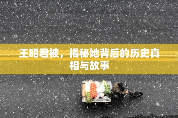 王昭君被，揭秘她背后的历史真相与故事