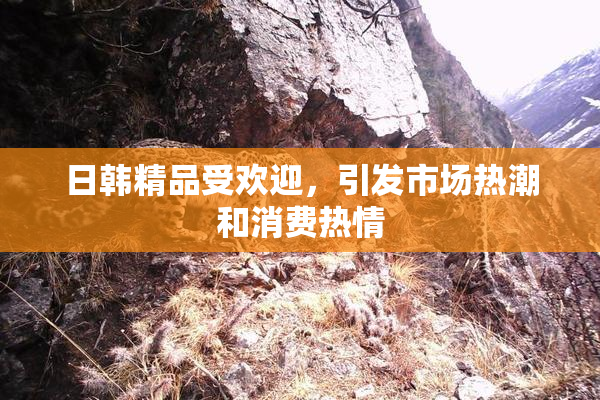 日韩精品受欢迎，引发市场热潮和消费热情