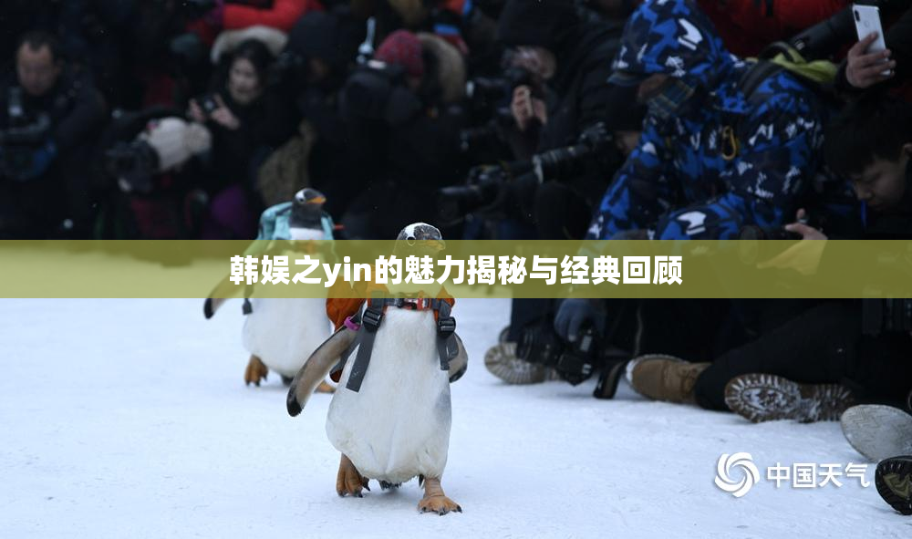 韩娱之yin的魅力揭秘与经典回顾