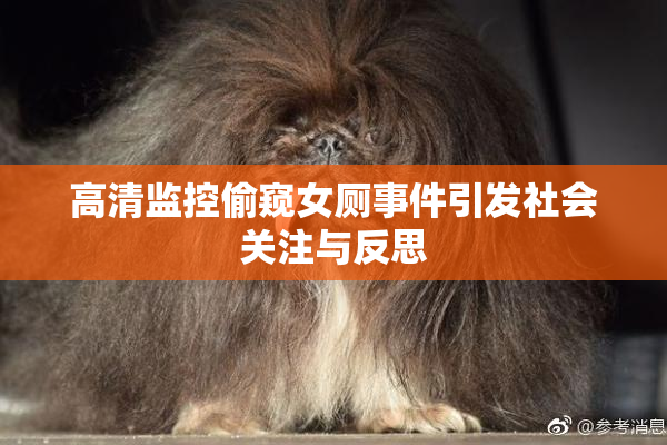高清监控偷窥女厕事件引发社会关注与反思