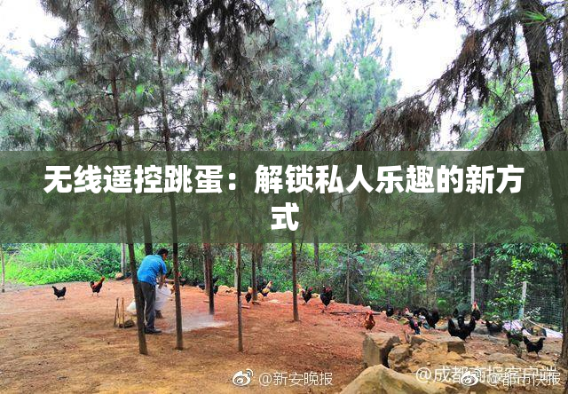 无线遥控跳蛋：解锁私人乐趣的新方式