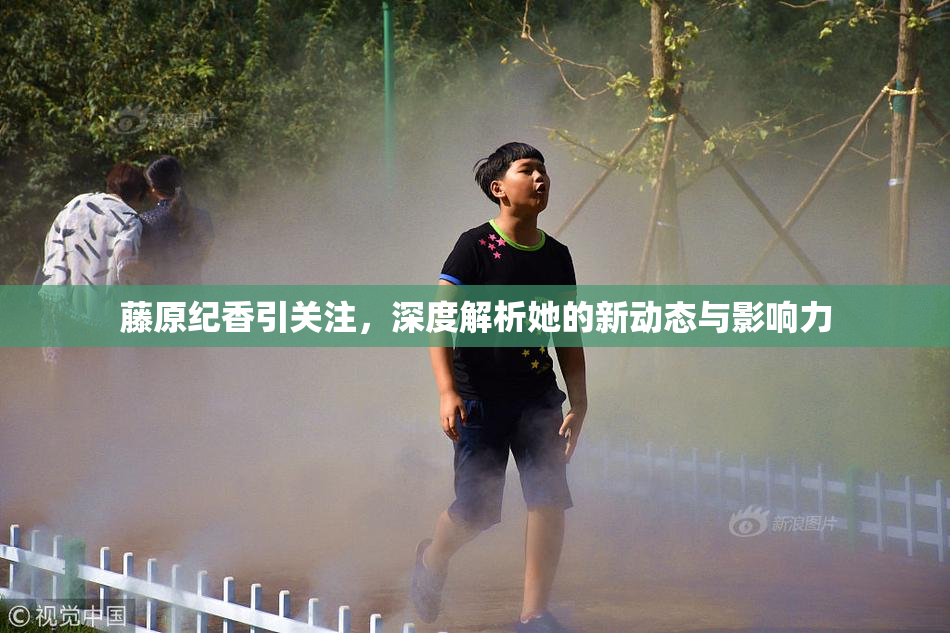 藤原纪香引关注，深度解析她的新动态与影响力