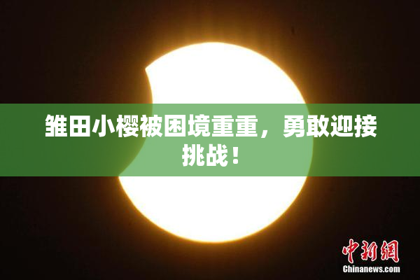 雏田小樱被困境重重，勇敢迎接挑战！
