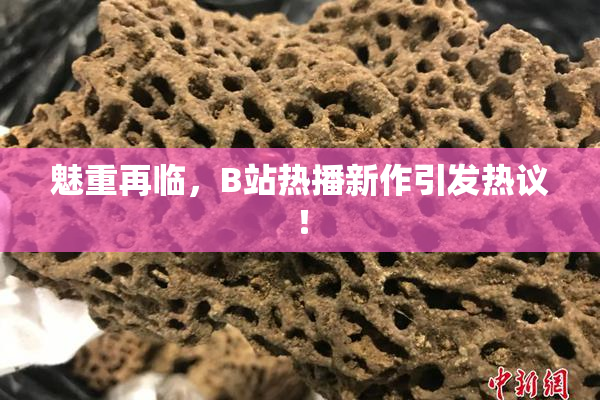 魅重再临，B站热播新作引发热议！