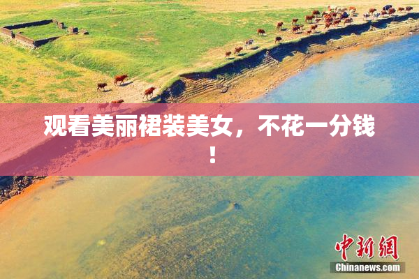 观看美丽裙装美女，不花一分钱！