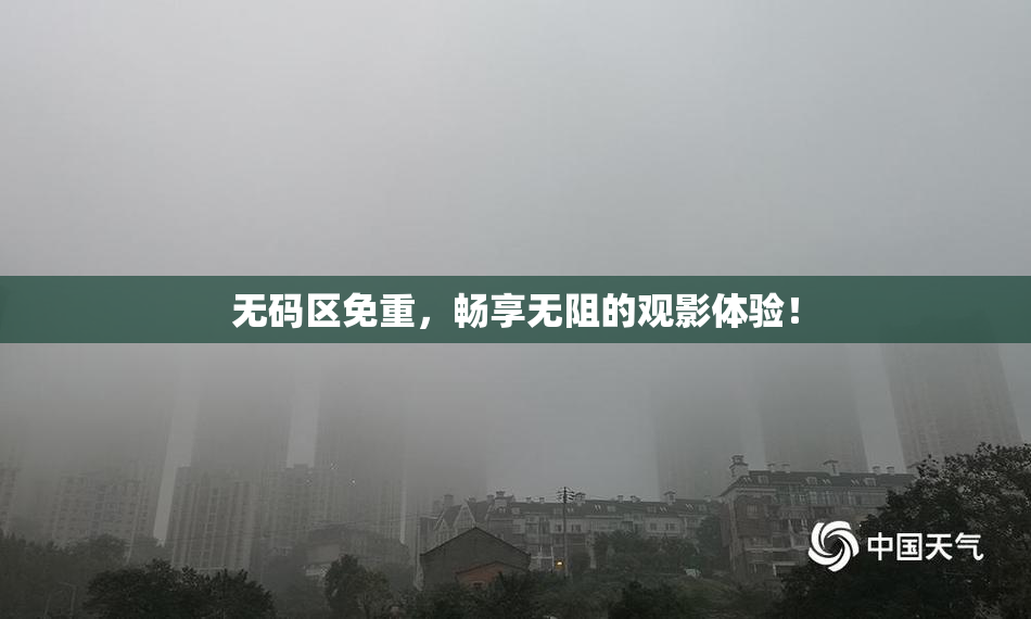 无码区免重，畅享无阻的观影体验！