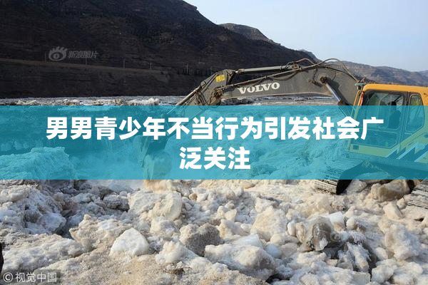 男男青少年不当行为引发社会广泛关注
