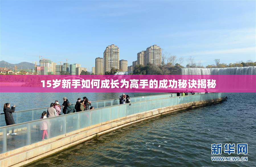 15岁新手如何成长为高手的成功秘诀揭秘