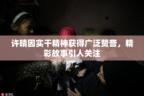 许晴因实干精神获得广泛赞誉，精彩故事引人关注