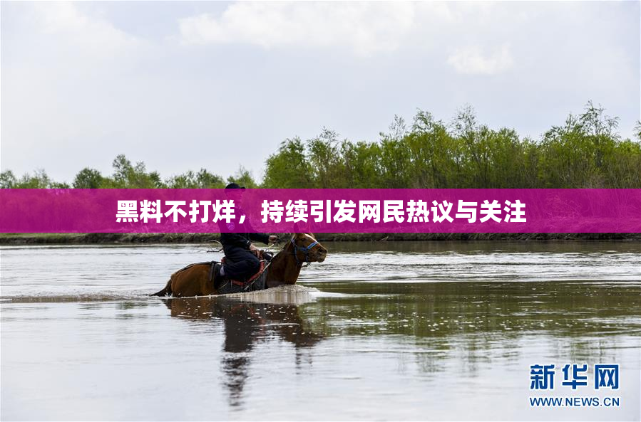 黑料不打烊，持续引发网民热议与关注
