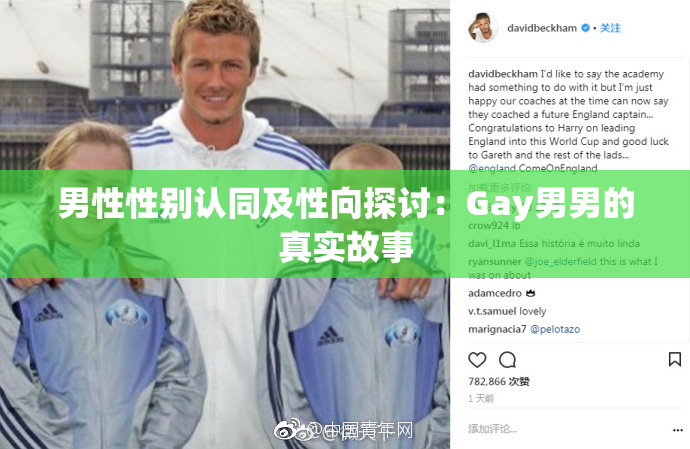 男性性别认同及性向探讨：Gay男男的真实故事
