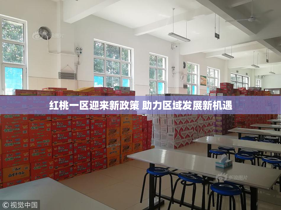 红桃一区迎来新政策 助力区域发展新机遇