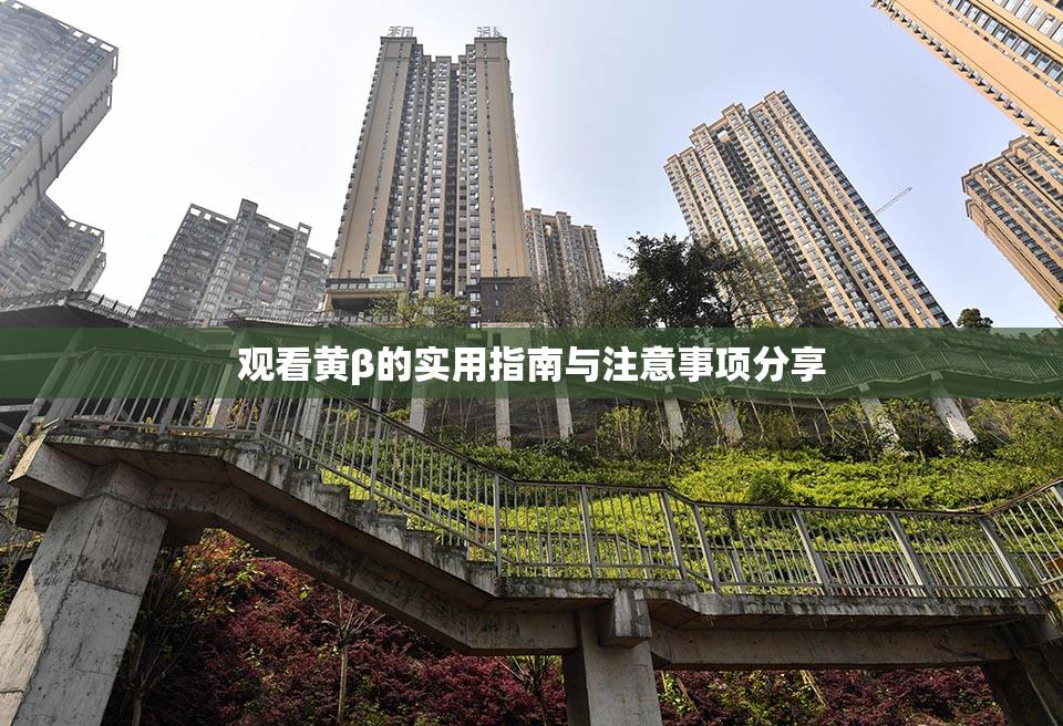 观看黄β的实用指南与注意事项分享
