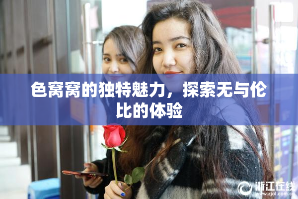 色窝窝的独特魅力，探索无与伦比的体验