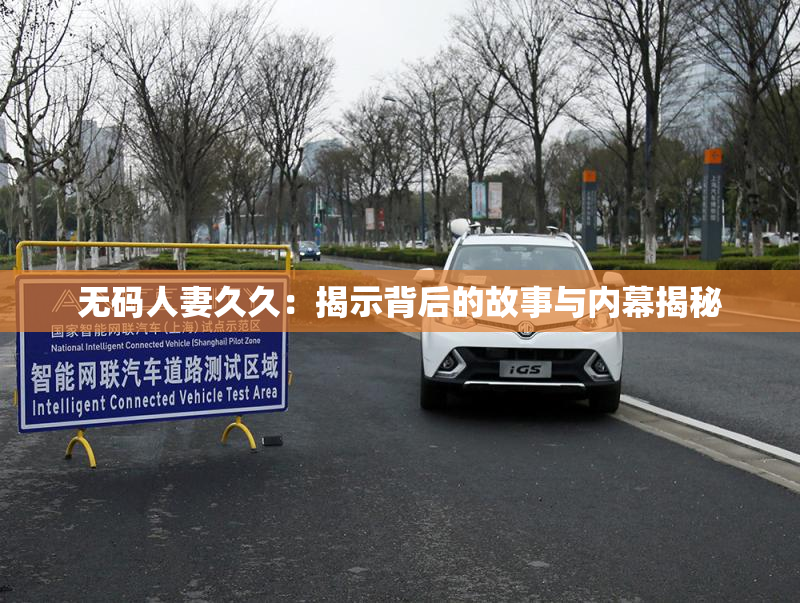 无码人妻久久：揭示背后的故事与内幕揭秘
