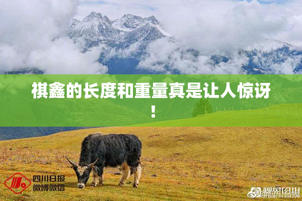 祺鑫的长度和重量真是让人惊讶！