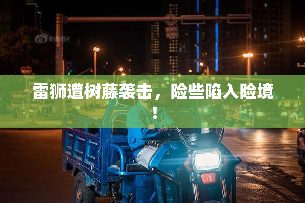雷狮遭树藤袭击，险些陷入险境！